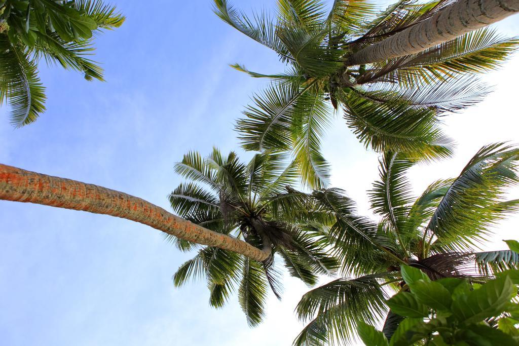 Toberua Island Resort Ngoại thất bức ảnh